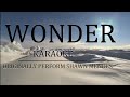 Shawn Mendes - Wonder (Karaoke with Acoustic Accompaniment)