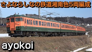 さよなら しなの鉄道115系S25編成 S3編成連結 湘南色5両編成 最終運転