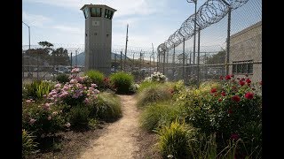 Insight Garden Program at San Quentin