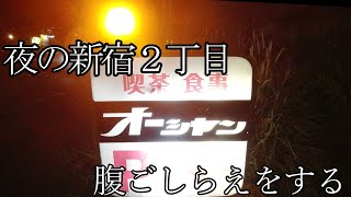 閉店【新宿２丁目】パトライトが眩い看板がある店で腹ごしらえをする動画【オーシャン】