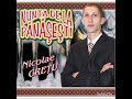 nicolae crețu zig zag dubalag