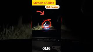Miracle of Allah☝😱😭 #allah #islam #short #viral