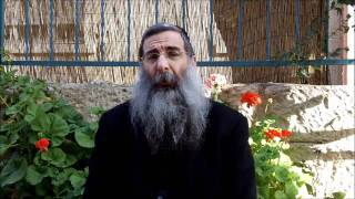 A Mayanot Moment- Parshat Tazria- Rabbi Kaplan.wmv