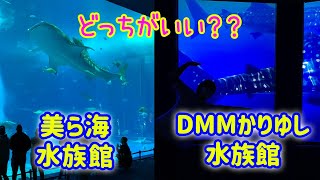 美ら海水族館／DMMかりゆし水族館どっちが楽しい？？【沖縄県】