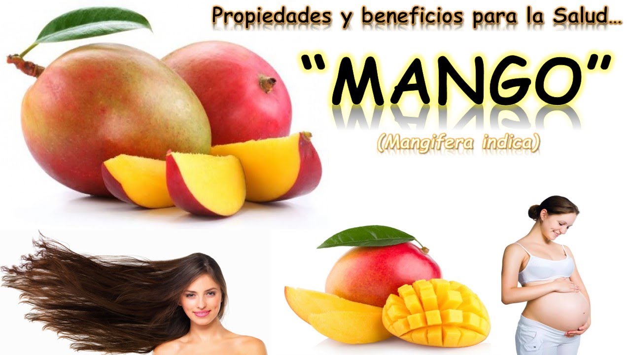 EL MANGO | PROPIEDADES Y BENEFICIOS PARA LA SALUD - YouTube