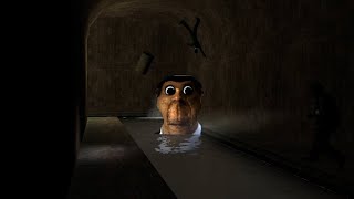 Obunga is Everywhere
