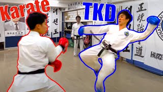Karate & Taekwondo // The 1 Mutual Principle EVERYONE Overlooks