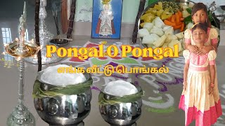 Pongal O Pongal || 2024 Pongal moments of Our Home || நமது பொங்கல் நாட்கள் #jaicyarunkumar#subscribe