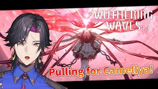 【Wuthering Waves 1.4】Pulling for Camellya!【NIJISANJI EN | Vezalius Bandage】