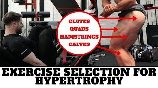 Exercise Selection Lower Body Hypertrophy (Functional Anatomy & Practical Considerations)