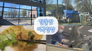 [미국육아/일상] 포틀랜드 Vlog - 오리건 과학산업 박물관, 반세오 만들기, DEQ, DMV, 자동차 등록증 재발급, Washington Square Mall (반품/교환)