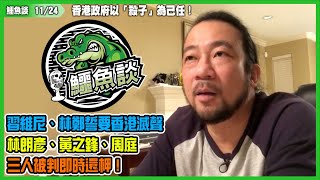 鱷魚談1124\\ 香港政府以殺子為己任！特區政府為各大監獄注入大量年輕政治犯！老習林鄭倒行逆施，破壞香港始作俑者！中共誓要香港滅聲，林朗彥、黃之鋒、周庭，三人被判即時還柙！打壓只令他們愈戰愈強！