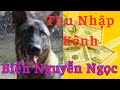 Biển Nguyễn Ngọc Thu Nhập Từ Youtube - Nguyen Ngoc Beach Income From Youtube