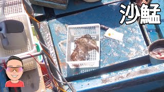 西貢碼頭漁民生劏活切游水沙鯭魚剝皮魚 | Cutting and Cleaning Live Leather Jacket by Fishermen