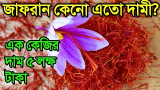 কেনো জাফরান এতো বেশি দামী? || কিভাবে চিনবেন আসল জাফরান? || why saffron is so expensive?