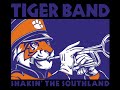 Clemson University Tiger Band Pregame - September 19, 2020