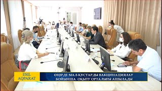 ӨҢІРДЕ МАЛ ҚҰСТАРДЫ ВАКЦИНАЦИЯЛАУ БОЙЫНША  ОҚЫТУ ОРТАЛЫҒЫ АШЫЛАДЫ