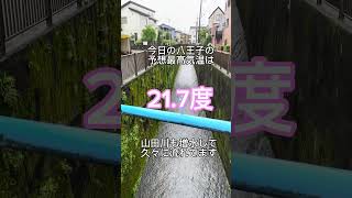 雨風強めで山田川に水流がある今朝の八王子駅南口周辺のイマソラ（2024年5月31日） ＃八王子駅南口 ＃八王子市 ＃イマソラ ＃ルームズバー八王子 ＃予想最高気温21度 #雨  #shorts