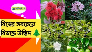 5 Most poisonous plants in the world। বিশ্বের সবচেয়ে বিষাক্ত উদ্ভিদ। #plants #বিষাক্তগাছ।