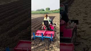 Riding crawler rotary cultivator