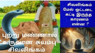 3000  ஆண்டுகள் பழமையான /புற்று மண்ணால் உருவான சுயம்பு சிவலிங்கம் கோவில் / கோவில் தல வரலாறு