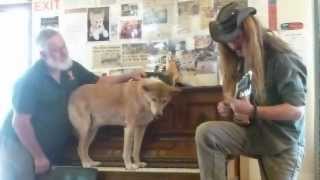 Dinky The Singing Dingo and Rick Dubya Duet