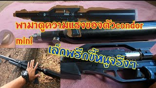 รีวีวปืนอัดลม pcp condor mini อัดลมแรงดันสูง#airforce gun