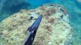 spearfishing samos 2015