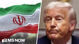 'If Trump ends the war now, it will be a clear victory for Iran': Foreign policy analyst