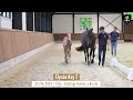 NR 9 ÉLYSÉE KEY Z - Olympic Ermitage combined with van ‘t Roosakker genetics!