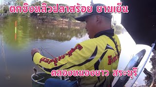 ตกชิงหลิวปลาสร้อย ยามเย็น 2 ชั่วโมงกับหมายธรมชาติ คลองหนองยาว สระบุรี