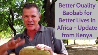 Better Quality Baobab for Better Lives in Africa - Update From Kenya