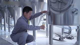 TIANTAI 1000L microbrewery system Automatic brewhouse