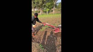 Raised bed vegetable farming part-1 ತರಕಾರಿ ಏರು ಮಡಿ ಭಾಗ -1 #raisedbedgarden #oldrooftiles