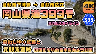 【岡山県道393号全線動画】鷲羽山スカイラインの有料道路時代に思いを馳せながら終わりゆく紅葉を嗜む車載カメラ動画