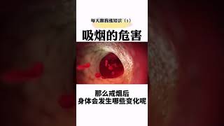 『医学科普』吸烟对身体有什么影响戒烟？