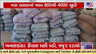 Garlic auction starts in Hapa Market Yard of Jamnagar; Rate of Rs 800 to 4000 per 20 Kg| TV9Gujarati