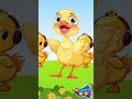 كاكى كاك 🐣 | اغاني اطفال 🐥 | بيبي | عبد المنعم مدبولى | سوبر ديدو | بطة أطا الانتيكا