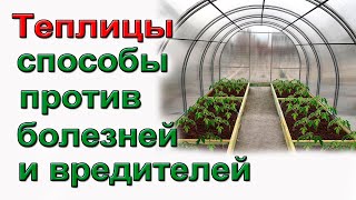 4 способа обработки теплицы от болезней и вредителей.