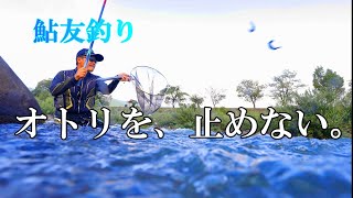 鮎釣り　この釣法、盛期にハマると無敵