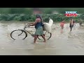 odisha braces for medium flood in mahanadi