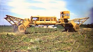 Tree Crusher - World's Largest Tree Crusher