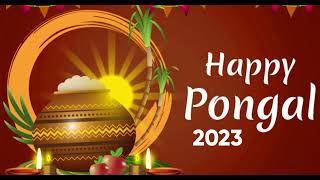 Happ pongal wishes 2023 gif Animation