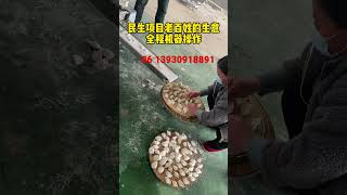 饺子馆食堂都在用的#饺子机 ，操作简单省时省力一小时8000个#food #全自动饺子机