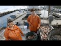 A Mess of Bait - Baiting Our Hooks and Rigging the Bird Line - Halibut Fishing Alaska