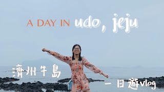 🌼 udo, jeju vlog | 韓國濟州島 牛島自由行  一日遊 黑豬肉漢堡🍔好好吃