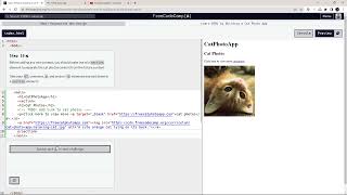 Learn HTML by Building a Cat Photo App | Steps 11-20 | New Responsive Web Design | FreeCodeCamp.org