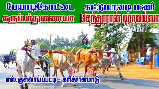 கரிச்சான் எஸ்.குளவாய்பட்டி புதுக்கோட்டை  21/03/2022 Karichan s kulavaippatti ksk  rekla race