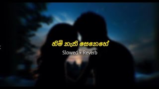 Himi nathi senehe (slow \u0026 reverb) Asanka priyamantha Piris @D music