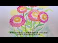 2月28日の誕生花はヘリクリサム　サインペン水彩で絵手紙　you can paint flower with signpens.